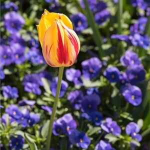 Meet your Posher, Jeanne